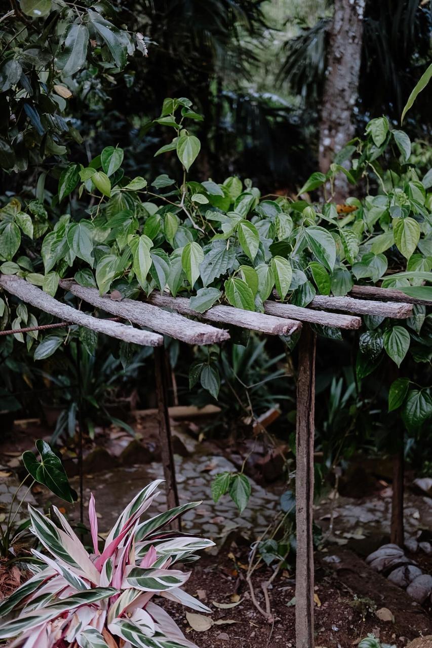 WhatsApp Image 2025-01-24 at 5.46.41 AM (3)